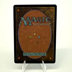 Magic the Gathering : Paradox Haze - Time Spiral - LP - Image 2