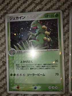 SCEPTILE 003/055 ADV EXPANSION PACK HOLO 1st Ed. Pokemon Japanese EXCELLENT-3 - Image 1