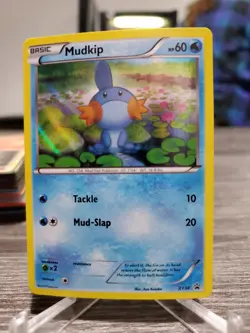 Mudkip - Promo XY Promos XY38 LP Pokemon - Image 1