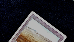 MTG Savannah - MP - Magic the Gathering Revised - Image 2