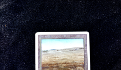 MTG Savannah - MP - Magic the Gathering Revised - Image 3