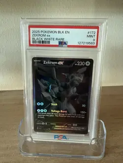 2025 POKEMON BLK EN ZEKROM ex BLACK WHITE RARE PSA 9 - Image 1