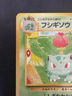 Pokemon Vintage Southern Islands Ivysaur Rare Japanese Promo - Image 3