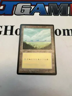 MTG Chinese FBB Beta Revised Plains Island Swamp Mountain Forest A B C *CCGHouse - Image 2