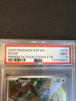2025 Pokemon SV Black Star Promos SVP EN Eevee #173 PSA 9 MINT - Image 4
