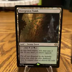 Magic The Gathering Overgrown Tomb Lorwyn Eclipsed Regular - Image 1