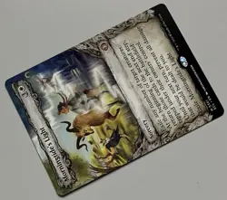 MTG Lorwyn Eclipsed Morningtide’s Light Sorcery MYTHIC REGULAR #0301 - Image 5