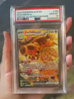 2024 POKEMON SCR EN-STELLAR CROWN SPECIAL ILLUSTRATION RARE DACHSBUN EX PSA 10 - Image 1
