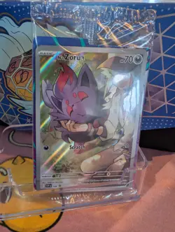 Sealed N's Zorua SVP 189 - Black Star Promo (Journey Together) - MINT - Image 3