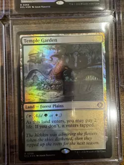 Lorwyn Eclipsed Foil 4 Shock Lands + Emptiness MTG - Image 3