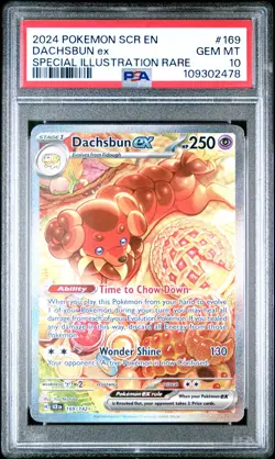 2024 POKEMON SCR EN-STELLAR CROWN SPECIAL ILLUSTRATION RARE DACHSBUN EX PSA 10 - Image 1