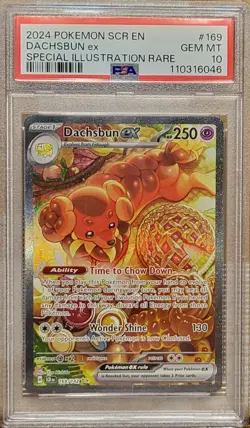 2024 POKEMON SCR EN-STELLAR CROWN SPECIAL ILLUSTRATION RARE DACHSBUN EX PSA 10 - Image 1