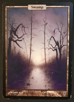 MTG Swamp- DAMAGED -Unhinged Fullart Magic the Gathering Card #138 - Image 1