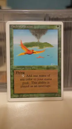 Birds of Paradise - Revised (3ED) 1994 - MTG Magic the Gathering - Rare - Image 1