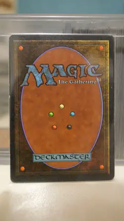 Birds of Paradise - Revised (3ED) 1994 - MTG Magic the Gathering - Rare - Image 2