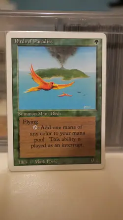 Birds of Paradise - Revised (3ED) 1994 - MTG Magic the Gathering - Rare - Image 3