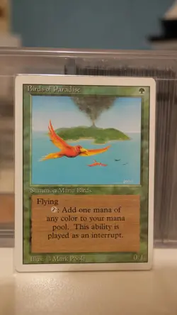 Birds of Paradise - Revised (3ED) 1994 - MTG Magic the Gathering - Rare - Image 5