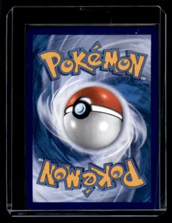 Meganium MEP 001 Mega Evolutions Stamped Black Star Promo Pokemon TCG NM - Image 2