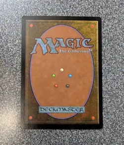 Sylvan Tutor Portal Regular - Image 2