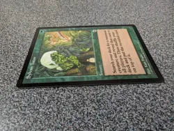 Sylvan Tutor Portal Regular - Image 4