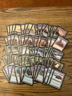 Tempest Basic Land Lot x80 Magic the Gathering Tempest Lands 4x Each Art Played - Image 1