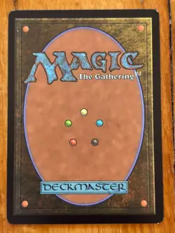 Meticulous Archive - Murders at Karlov Manor - MTG - 0264 - Image 2