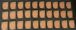 Torment Insanity Deck Magic the Gathering 2002 MTG USED - Image 4
