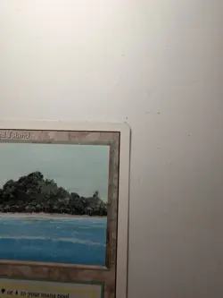 MTG Tropical Island Revised Dual Land - Light Play LP - Magic the Gathering - Image 4