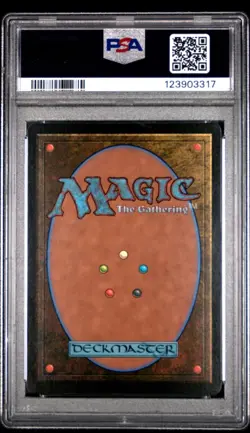 Vivi Ornitier 2025 MTG Final Fantasy #0321 Artist Borderless PSA 10 - Image 2