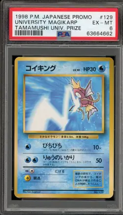 Pokemon University Magikarp Tamamushi University Prize Japanese Promo #129 PSA 6 - Image 1