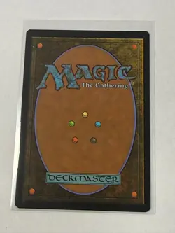 Shivan Reef (Borderless) - Dominaria United 380 - Magic: The Gathering - Image 2