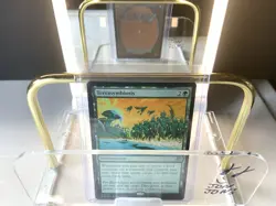Terrasymbiosis - Edge of Eternities EOE - 0210 - MTG Magic NM - Image 1