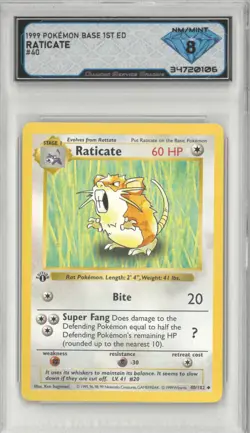 1999 Pokemon Base 1st Ed RATICATE #40/102 💎 DSG 8 NM/Mint - Image 1