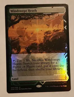 MTG Windswept Heath FOIL - Zendikar Rising Expeditions - NM/MINT Magic - Image 1