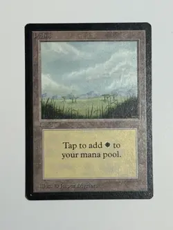 Plains (290) [Limited Edition Beta] Magic MTG - Image 1