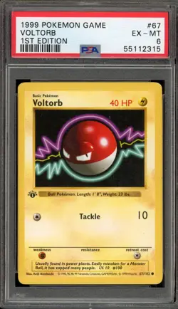 Pokemon Voltorb Base Set Shadowless 1st Edition #67 PSA 6 - Image 1