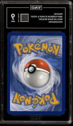 Pokemon Pikachu 2024 Trick or Trade Holo #018 TAG 9 Mint - Image 2