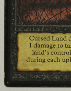 Cursed Land - Beta Edition - *MTG* Magic the Gathering - Image 2