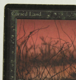 Cursed Land - Beta Edition - *MTG* Magic the Gathering - Image 4