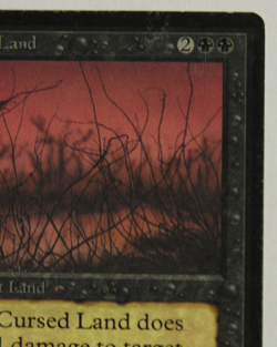 Cursed Land - Beta Edition - *MTG* Magic the Gathering - Image 5