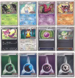 Pokemon Card BW Gym Challenge Promo Pack Part 2 Complete Set 091-102/BW-P JP - Image 1