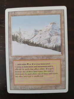 MTG Taiga Revised Edition - NM Condition - Image 1