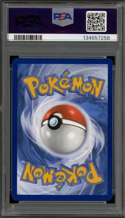 Pokemon Squirtle 151 Poster Coll. Holo Promo SVP EN 048 PSA 9 Mint - Image 2