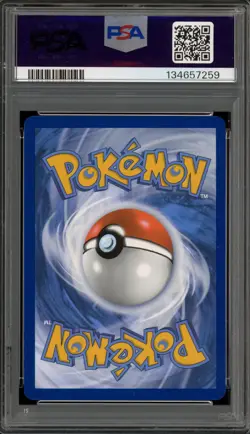 Pokemon Charmander 151 Poster Coll. Holo Promo SVP EN 047 PSA 9 Mint - Image 2