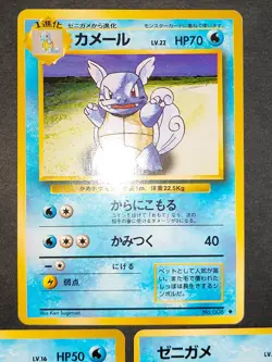 Pokemon Card Japanese Wartortle No.008 Old back Squirtle No.007 eb258 - Image 5