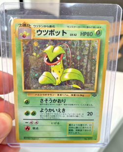 1997 Pokemon Japan Jungle Set -JAPANESE Victreebel - Holo Rare Card no. 71 - Image 1