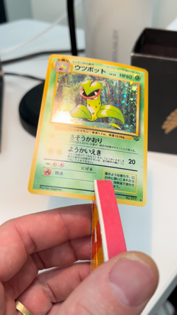 1997 Pokemon Japan Jungle Set -JAPANESE Victreebel - Holo Rare Card no. 71 - Image 2