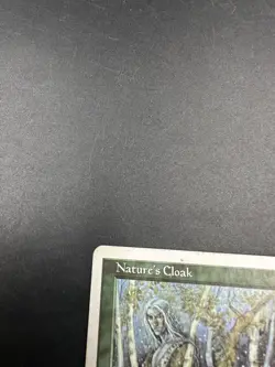 MTG Nature's Cloak [English, Starter 1999, LP] - Image 2