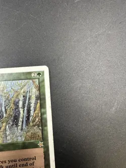 MTG Nature's Cloak [English, Starter 1999, LP] - Image 3