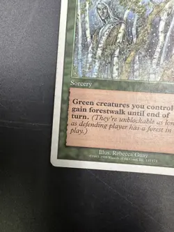MTG Nature's Cloak [English, Starter 1999, LP] - Image 4